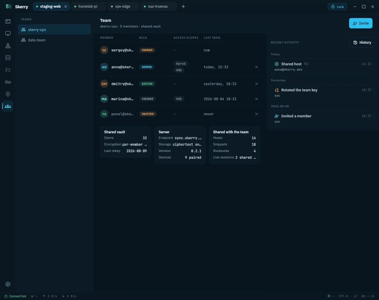 Team view with members, access scopes and the activity feed
